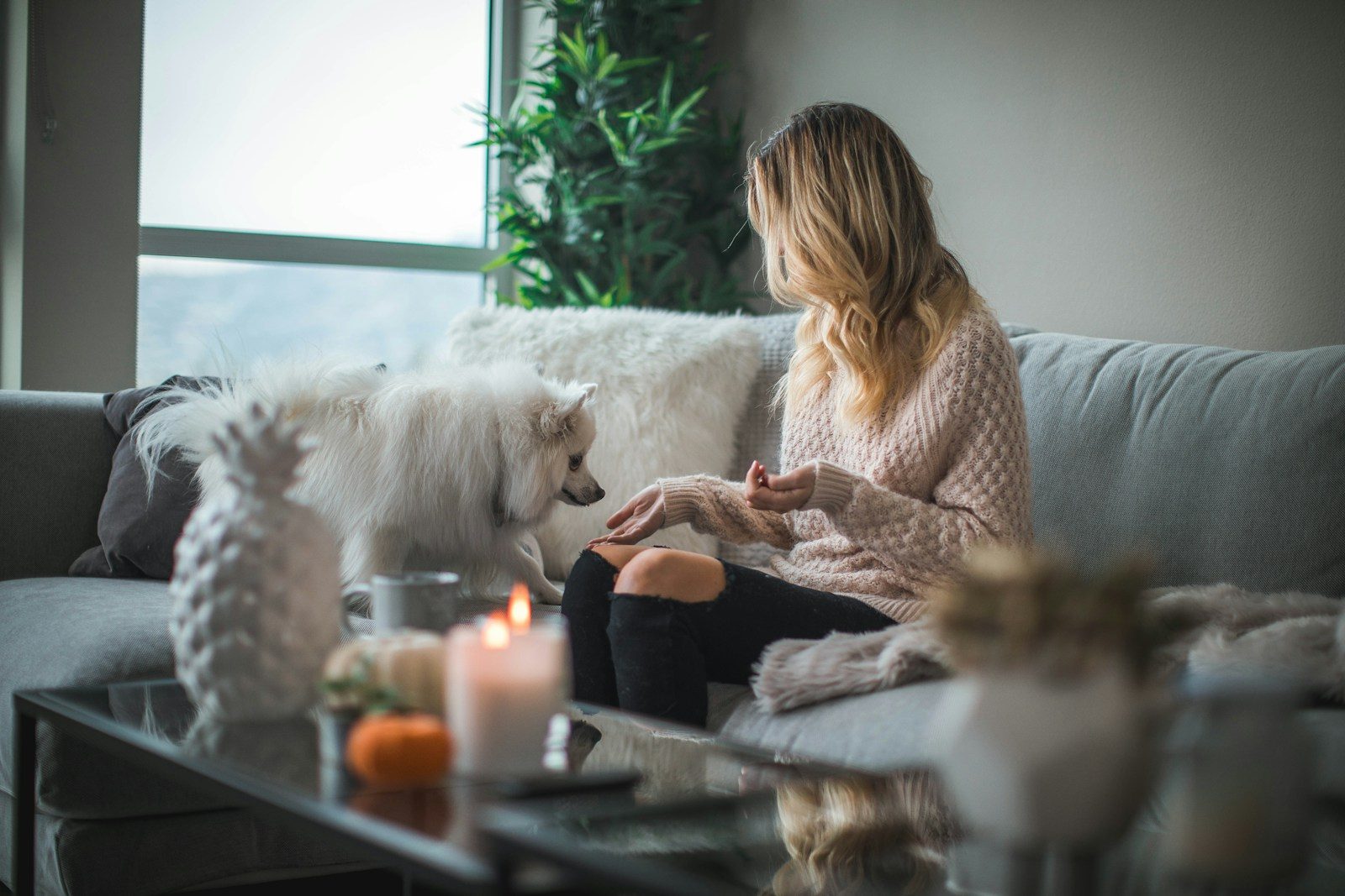 Selling a Home During Probate: What Homeowners Should Know